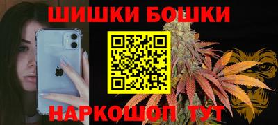 прущие грибы Кингисепп