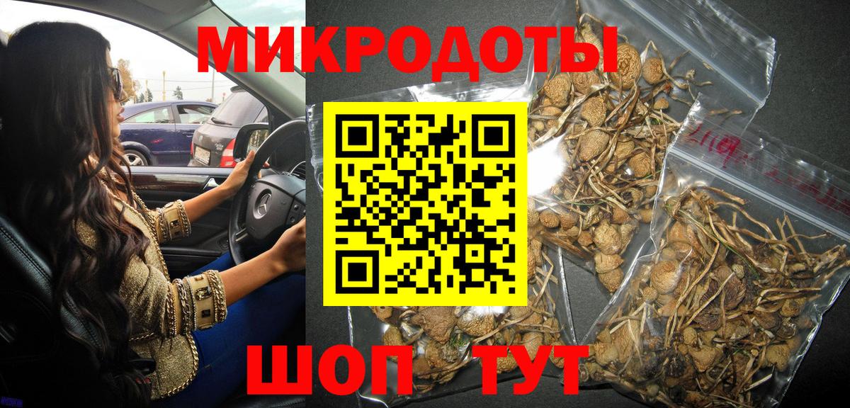 Галлюциногенные грибы Psilocybine cubensis Когалым